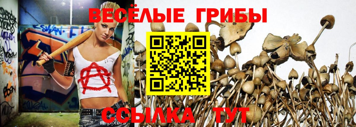 Апатиты  Псилоцибиновые грибы Psilocybe  Вход с VPN 